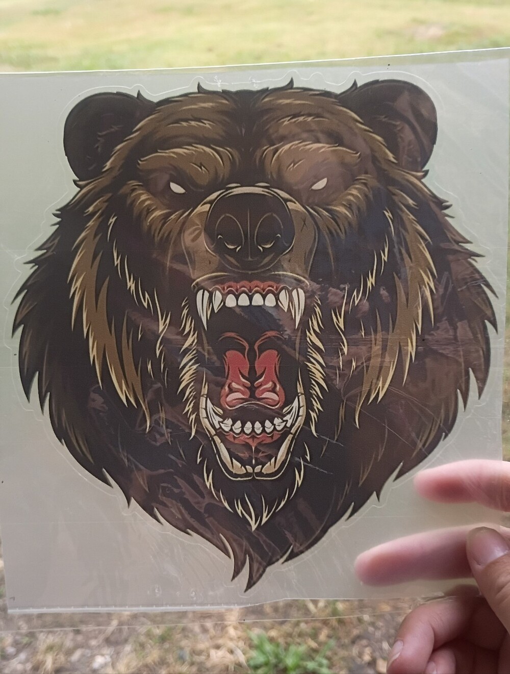 🌻 Amazon Roaring Bear Head Wall Car Decal - Brown, Black, Red